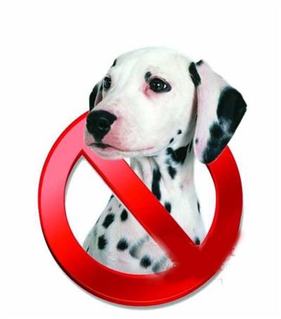 ����������39������Ȯ�������ν���������ͼ��