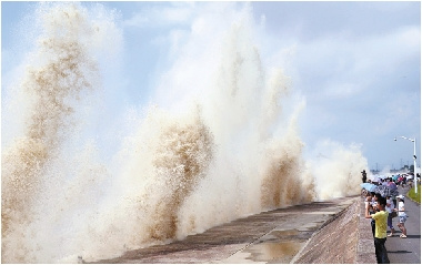 �����á�����Ǯ��������ͼ��