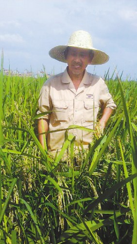 江西一花甲老人种稻180亩单产均超800公斤(图)