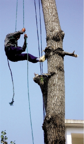 ���ϡ����ȷ�ľ��������������߿��������ߣ�ͼ��