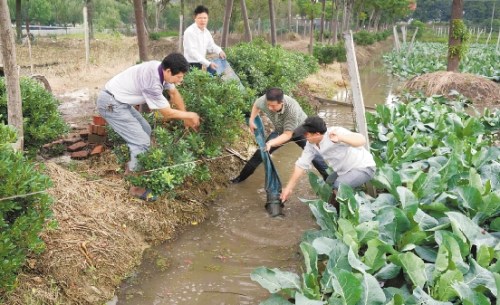 �㽭����ǿ̨�硰���ء������㵳Ա����ս�����ݣ�ͼ��