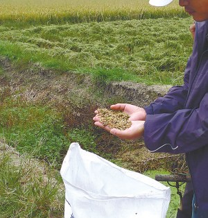 ����20����Ķ�ӽ�����ˮ������60%-70%��ֲ�󻧲α���