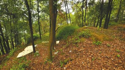 四川男女依偎死亡身份成迷:千万富翁“借尸躲债”?