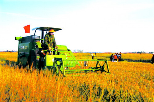 ɽ����ʳϲ��ʮһ���ᡱ�߲��������2280��Ķ