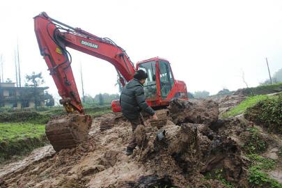 村民外租农田搞养殖:挖出2吨“乌木”后反悔(图)