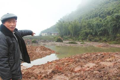 揭秘川南偷挖乌木:多有专业背景已成周密链条(图)