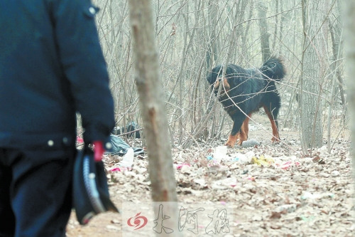 �������Ͳ��Ὡ��5Сʱ��ǹ������У�ͼ��