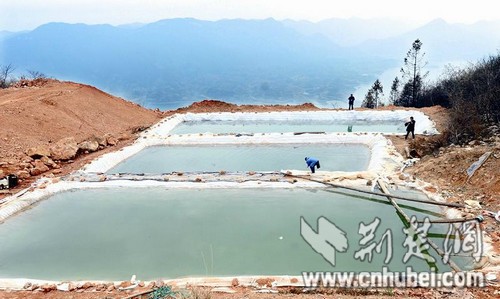 湖北咸黄交界处有人盗采金矿废水流经之处寸草不生(图)