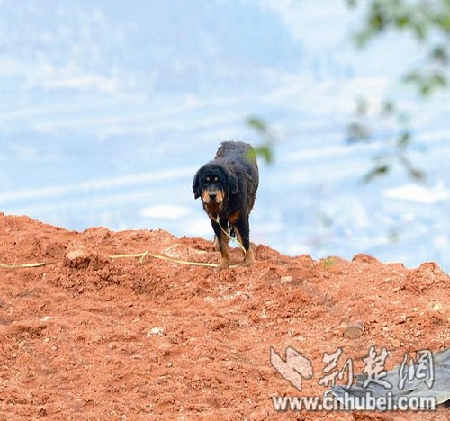 �����̻ƽ��紦���˵��ɽ���ˮ����֮����ݲ�����ͼ����2��