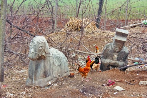 河南胡瑞墓文物屡被盗村民悬赏5000元找石马(图)