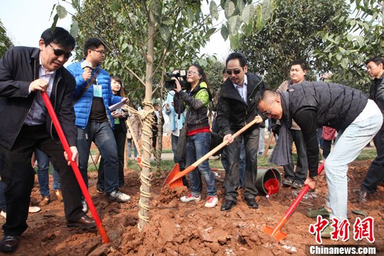 �Ĵ��ڽ����������������������֡�