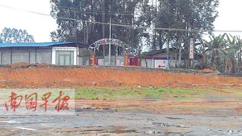 ��У8����Υ���õض���ⷣ���ȴԽ��Խ��ͼ��