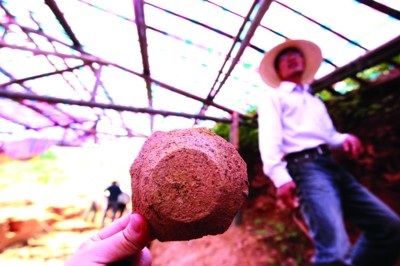 安徽繁昌窑12年后再现龙窑出土大量精美青白瓷(图)