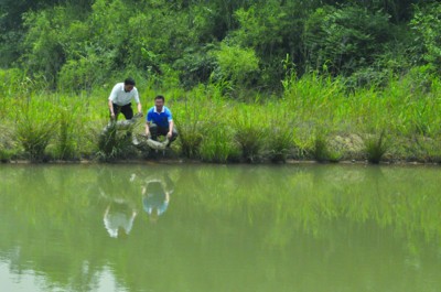 12���˹�ѱ���������Ź����Ȼ��ͼ��