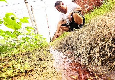 汉川一化工厂爆炸污染企业被当地百姓视为瘟神(图)