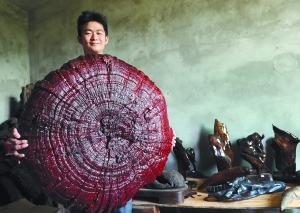 �Ĵ��ϳ��֡�������֥����ֱ����1����10��ͼ��