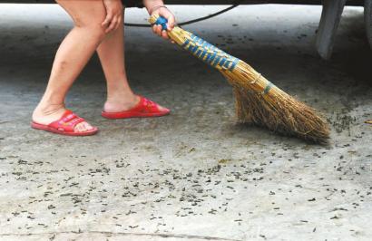 四川上万毛虫“攻城”居民连续三晚躲网吧过夜(图)