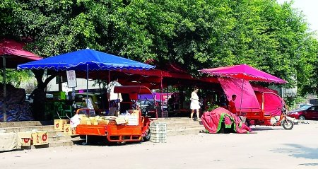 ����һ���ӽ�ͷ�ø�������ѭ�������໰��ĸ�ף�ͼ��