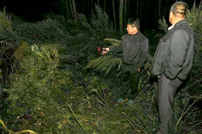 ������ɱ�����ӷ��ΰ�����������������˵�Χ����ͼ��