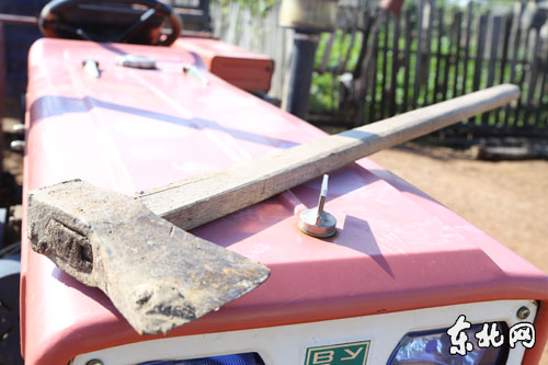 ������Խ���ӷ������������Ҫʳ�ﱻץ��ͼ��