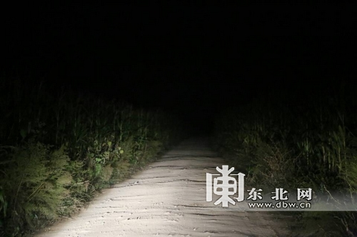 ɱ��Խ���������ױ����ش����������������ֵأ�ͼ��