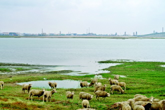 ������˹����ֻ�������¼����飺��֮�䣿��֮������ͼ��