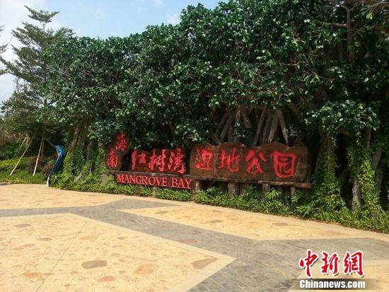 网媒记者走进澄迈红树湾湿地公园天然氧吧引热议(图)