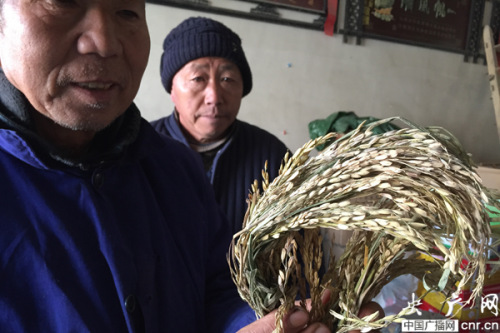 ���հ���������������ũ��ָ��¡ƽ�߿Ƶ��֣�ͼ��