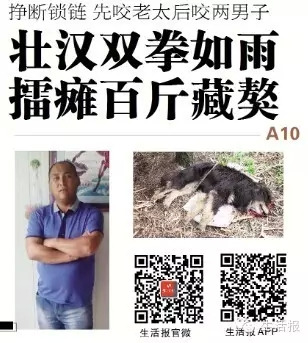 ���ᷢ������������ҧ3��׳����˫ȭͽ�ֽ��������ͼ��