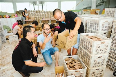 �ֵ���ı���̻�������ֱ��������������ͼ��