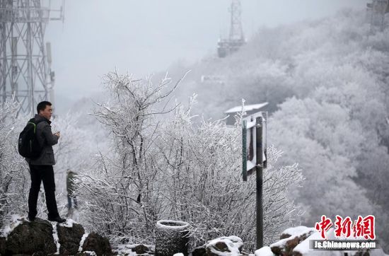 南京新年首场雪“低调”降临