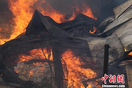 济南伊利乳业过火面积达四千余平米 护林飞机灭火