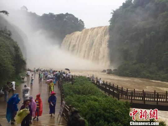 60余名台商雨中观黄果树瀑布 看好贵州旅游发展前景