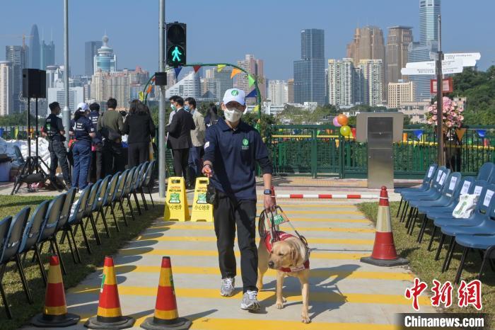 香港首所导盲犬训练学校启用