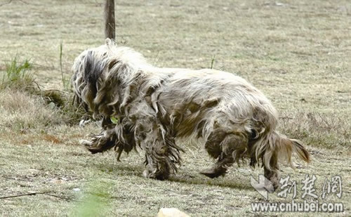 �人��ѧ��΢������������Ϭ������(ͼ��