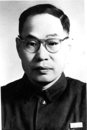 我的父亲蒋南翔图片