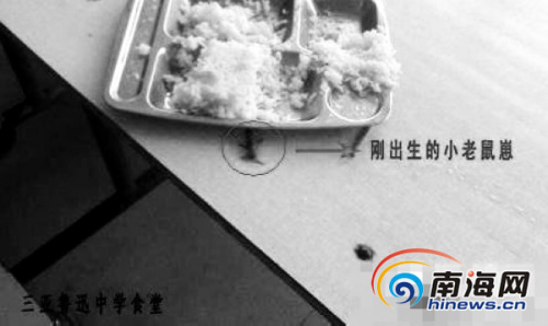 网曝学生食堂饭菜中吃出老鼠崽校方疑照片为PS