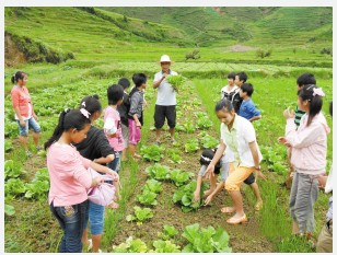 云南一农村学校种菜养猪1200学生有吃上免费餐