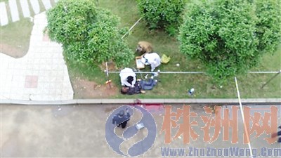 高校男生清明节早上坠楼身亡死因尚未确定(图)