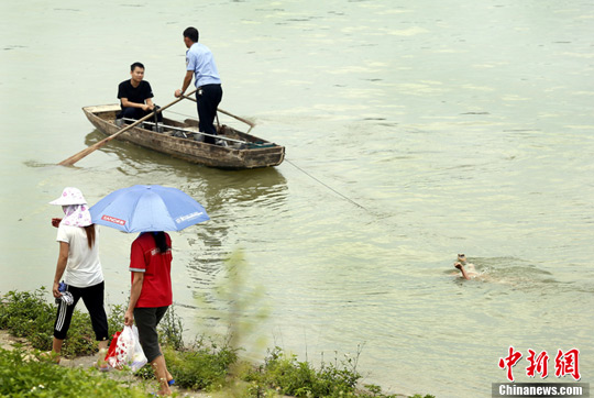 高温炎热广西柳州3名小学女生江中戏水溺亡
