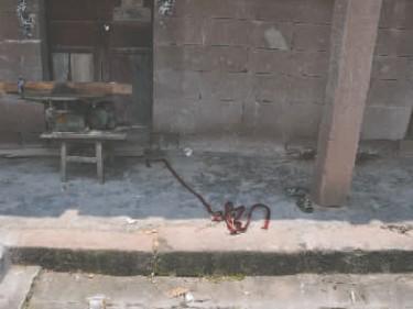 ������ͯ�����̡������������������������ͼ��