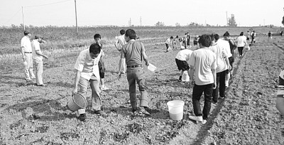 武汉一中学设“开心农场”师生自种自摘自己吃