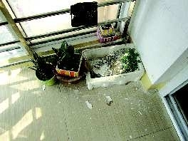¥��װ�޶����� ¥��ס��������(ͼ)