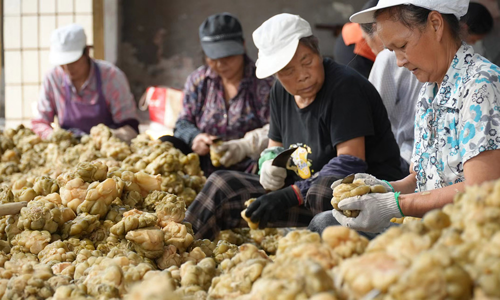 重庆市分行推出“巴渝榨菜贷”普惠融资产品，服务产业链上的农户、合作社和加工企业。