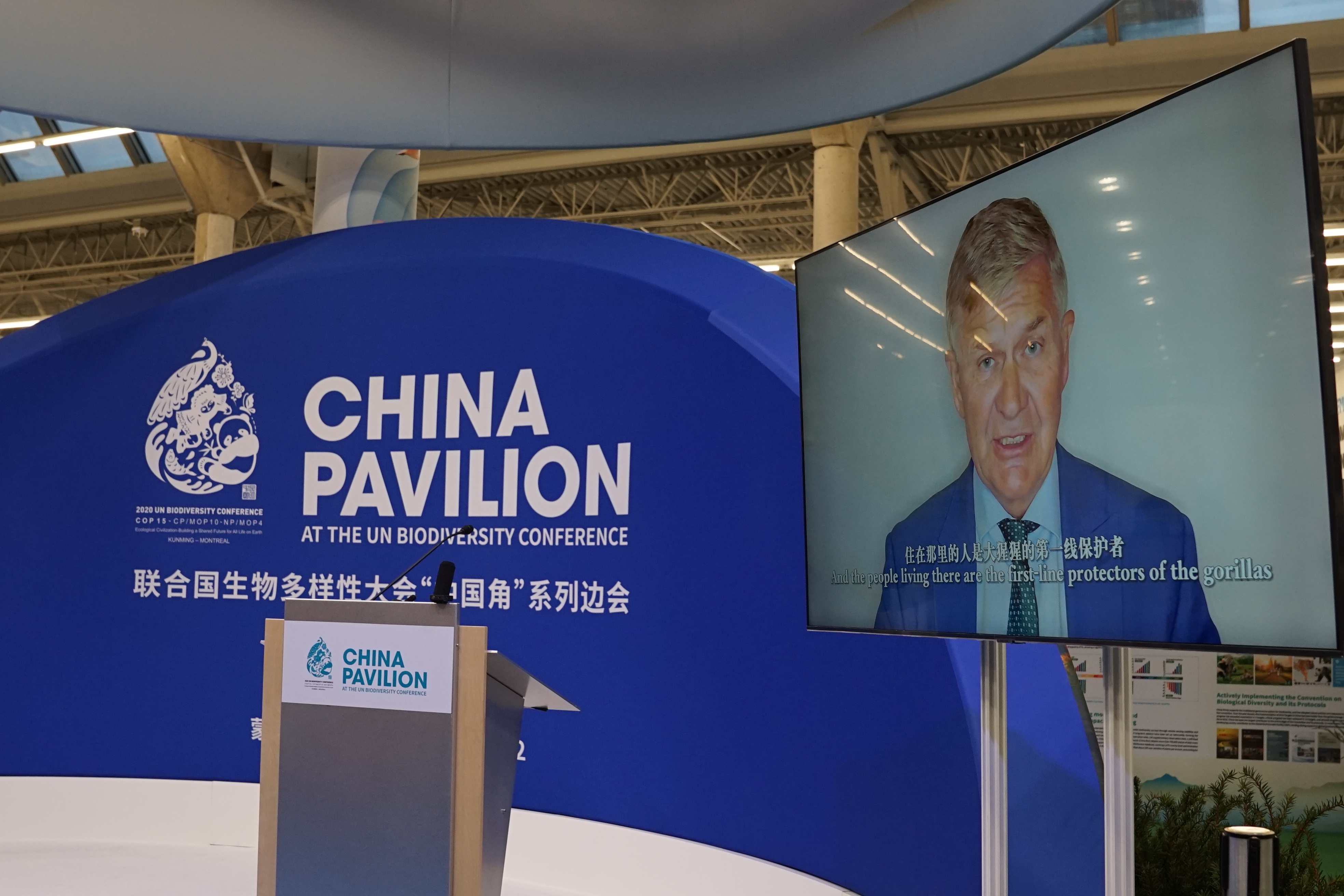 联合国前秘书长索尔海姆视频发言