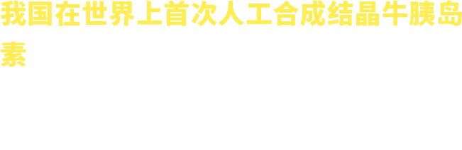 1965年文字