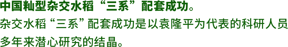 1973年文字