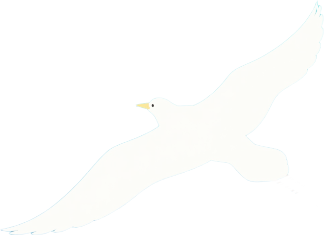 鳥1
