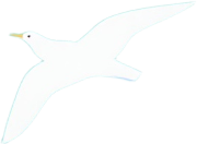 鳥3