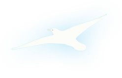 鳥4
